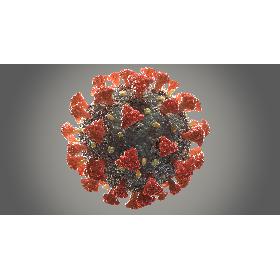 3D Coronavirus 02 model